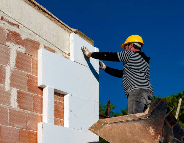 Best Cellulose Insulation in Colorado City, TX
