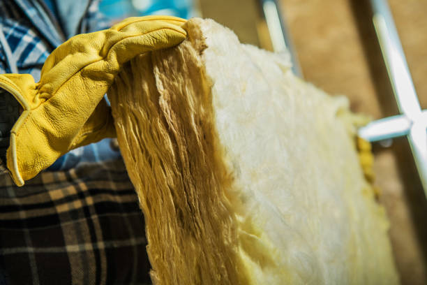 Best DIY Insulation Kits and Guidance in Colorado City, TX