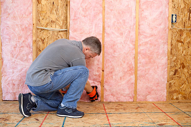 Best Eco-Friendly Insulation in Colorado City, TX