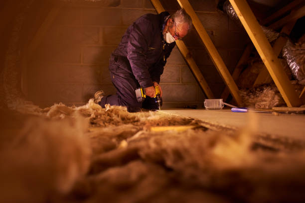 Best Geographic-Specific Insulation Services in Colorado City, TX